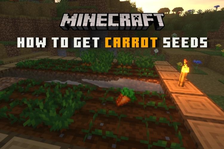 How to Get Carrot Seeds in Minecraft