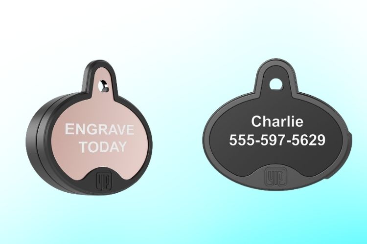 This First-of-Its-Kind Find My-Supported Dog Tag Can Help Track Your Furry Friends